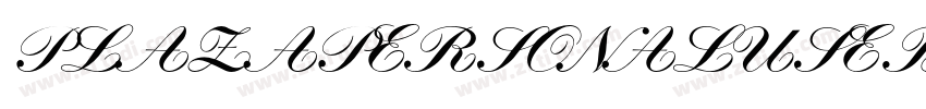 PLAZAPERSONALUSE Bol字体转换